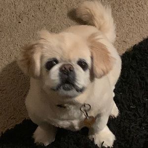 Meet your Posher, Adrian